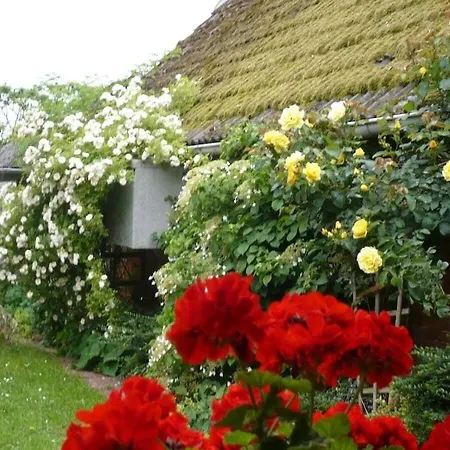 Ferienhaus Haus Altendeich Stick